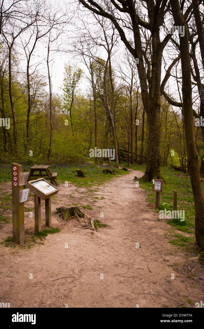 Woodland pathway uk hi-res stock photography and images - Alamy