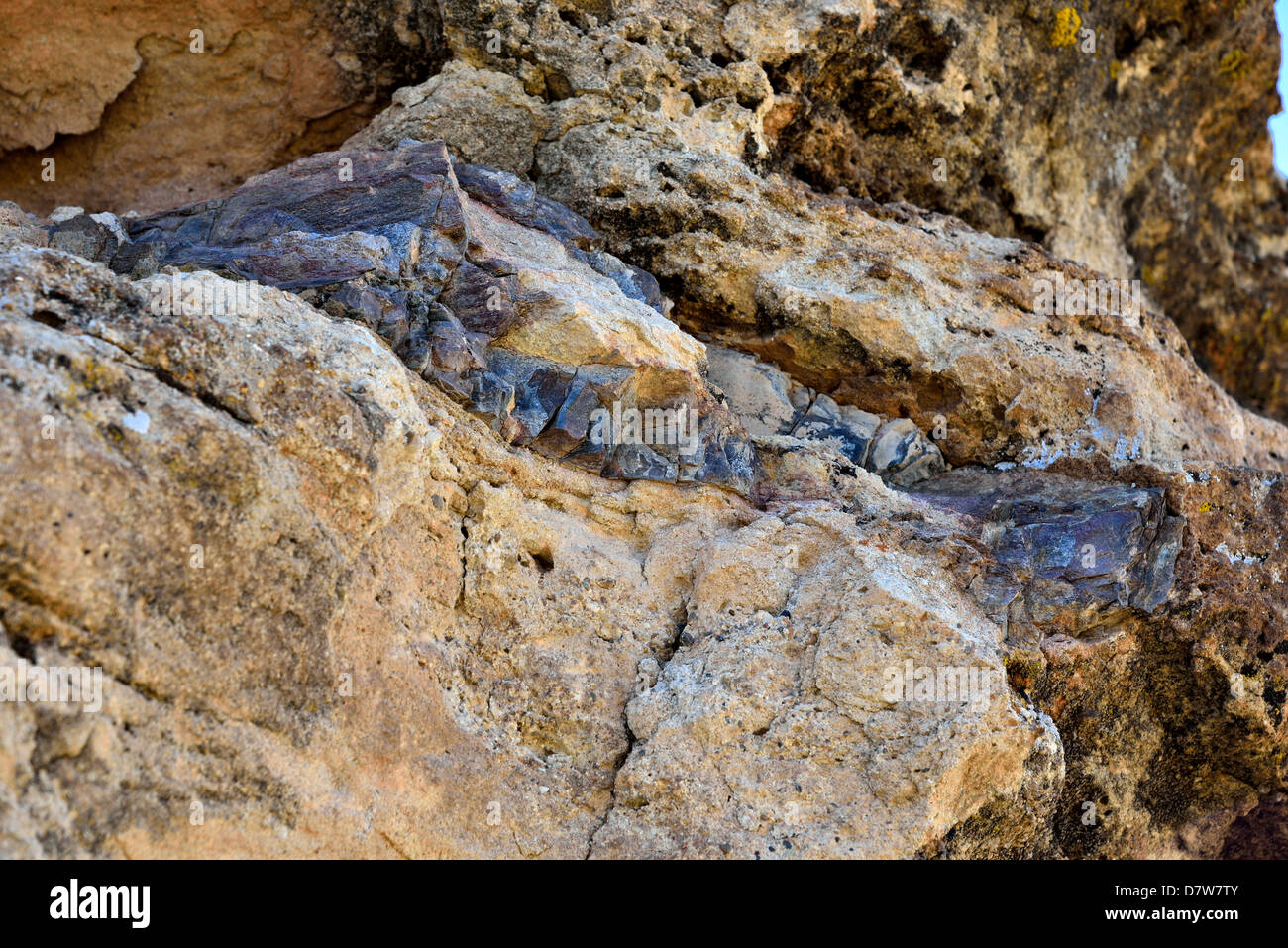 Dinosaur bone fossil in sandstone matrix. Moab, Utah, USA. Stock Photo