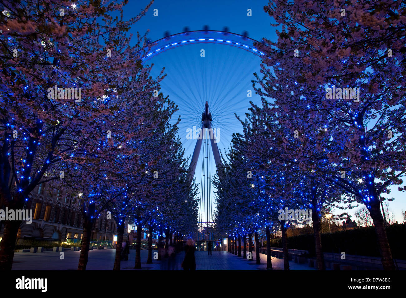 The EDF Energy London Eye, London, England Stock Photo Alamy