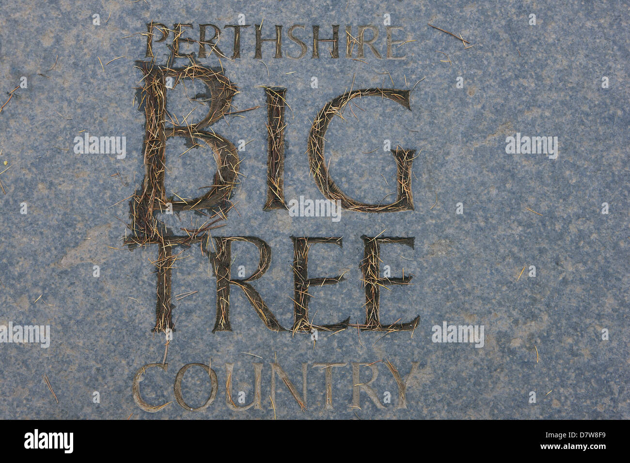 Perthshire Big Tree Country engraving on a slab at the Queen's View near Pitlochry Stock Photo