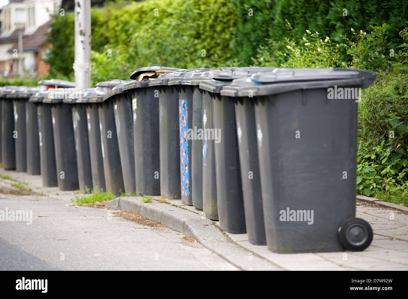 A row of grey wheelie bins full of carbage Stock Photo