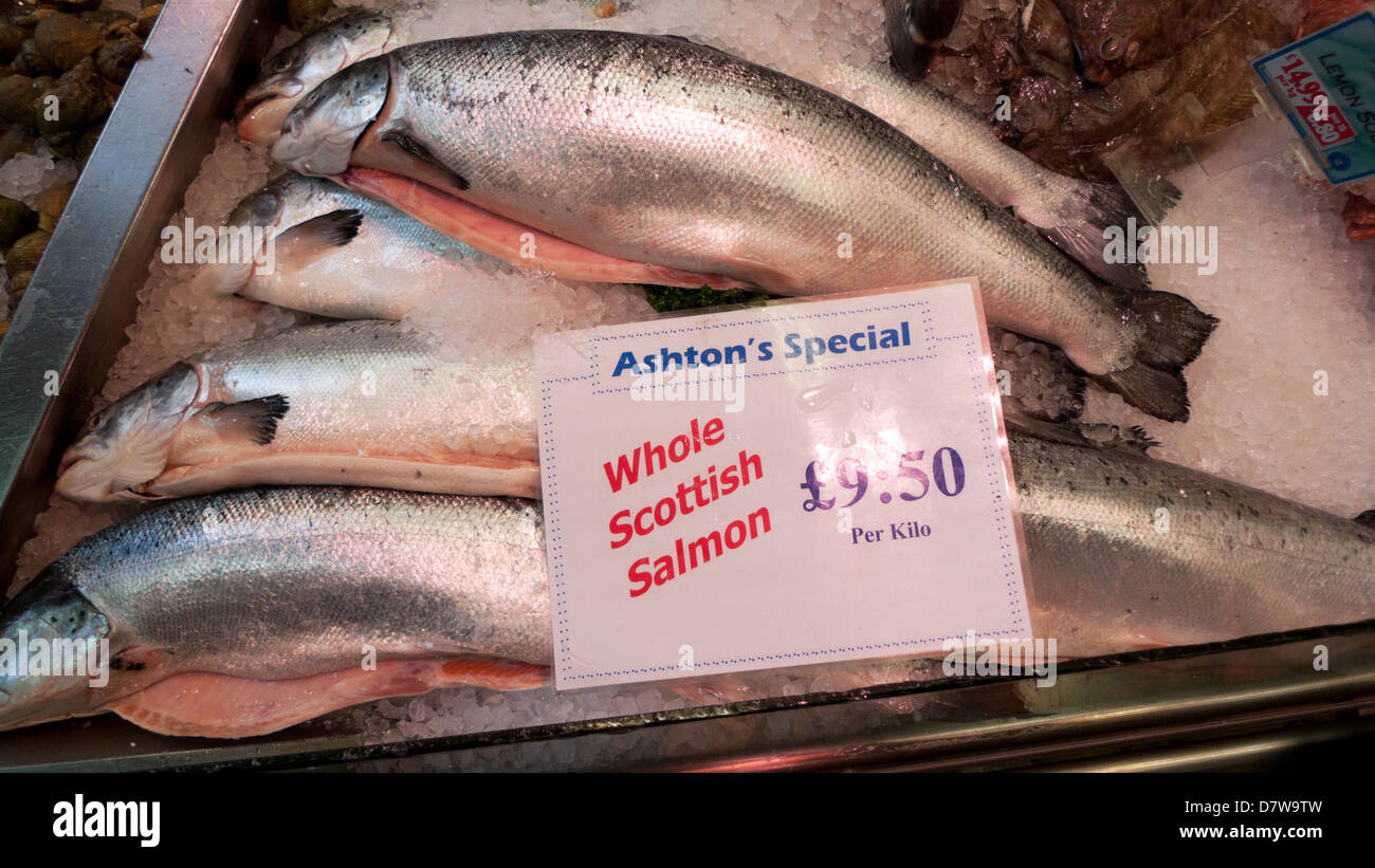 Whole Scottish Salmon for sale at Ashton's fish stall Cardiff Market