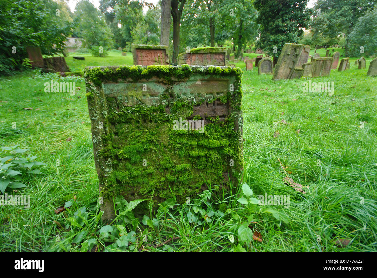 Mossy Hebrew writing on a grave in an old overgrown Jewish cemetery Stock Photo