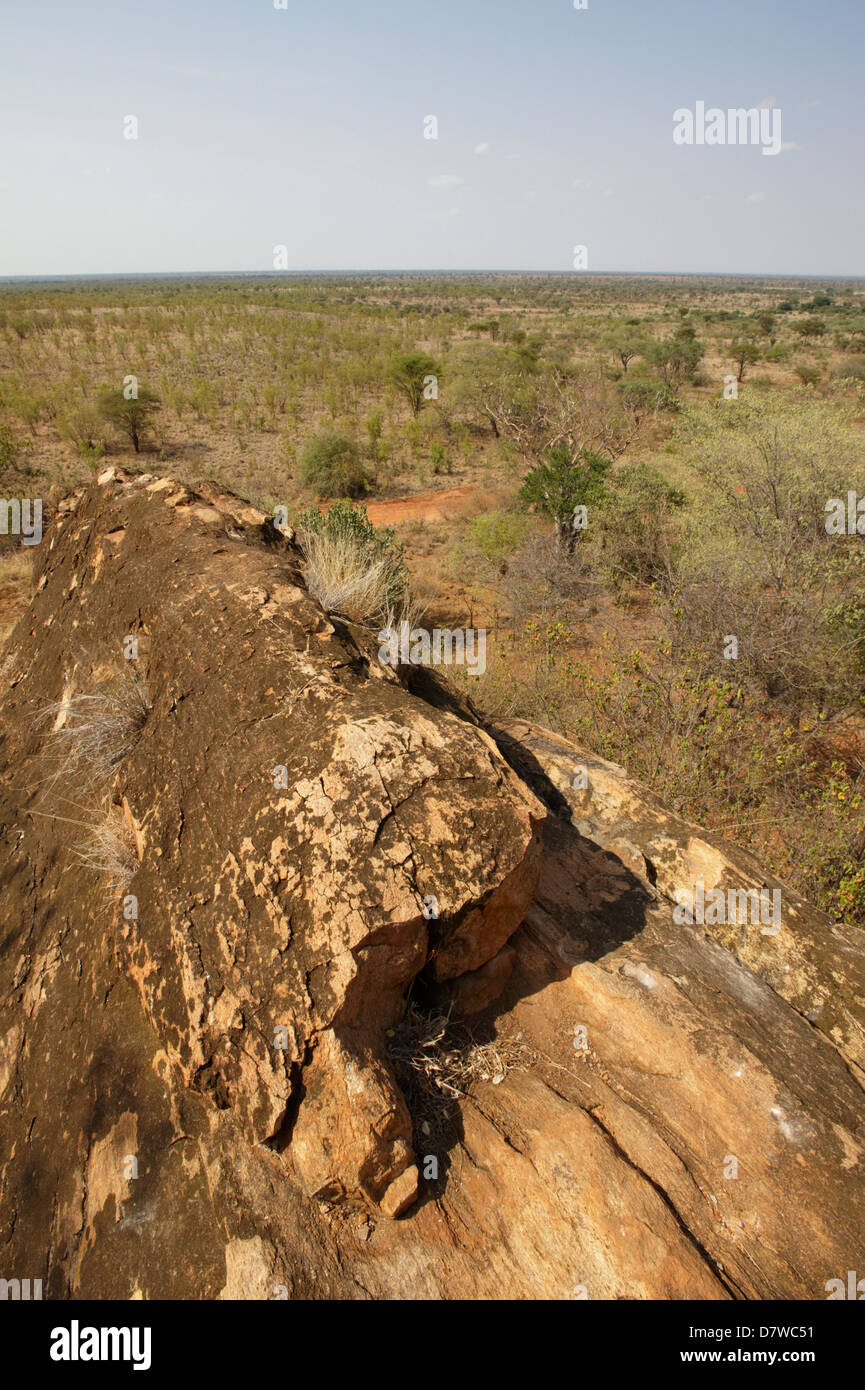 Rocks on desert, Meru National Park, Kenya Stock Photo