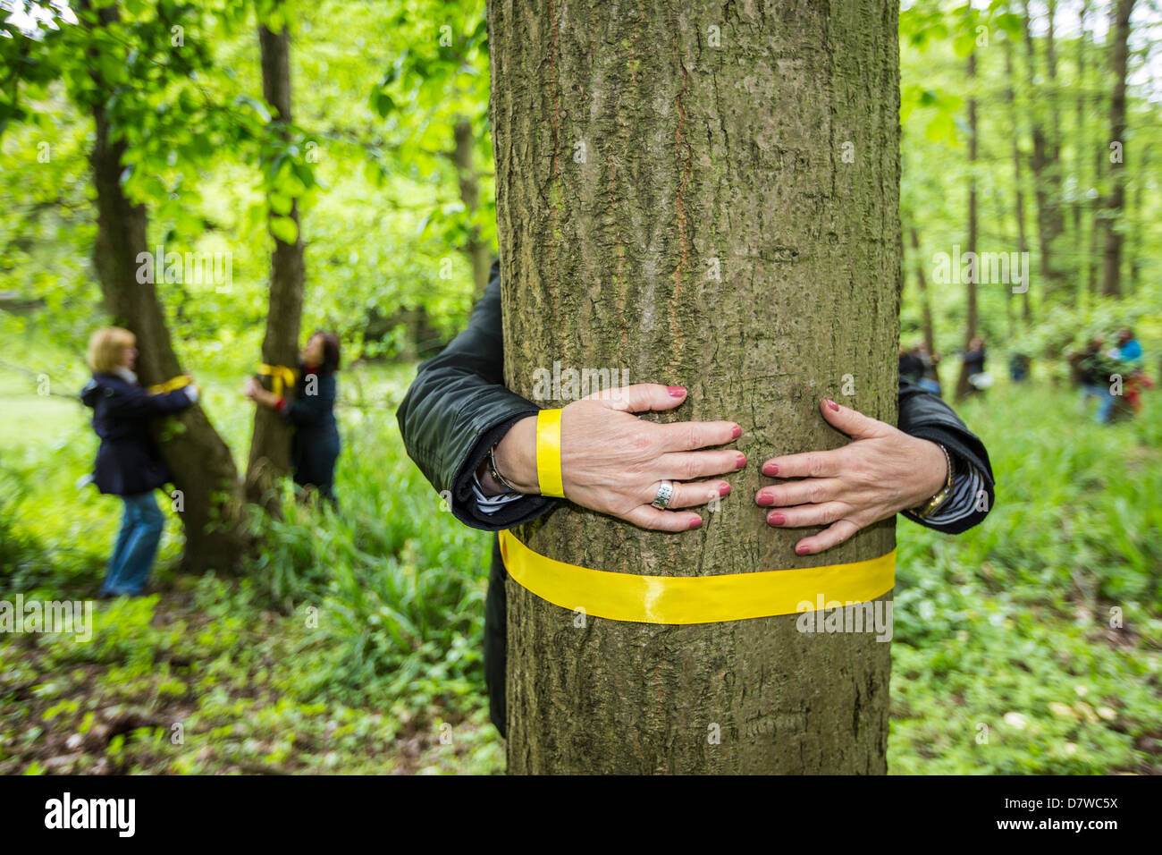 Hug a tree, world record. 848 people hugging a tree at same time. World record for Guinness book of records. initiated by WWF. Stock Photo