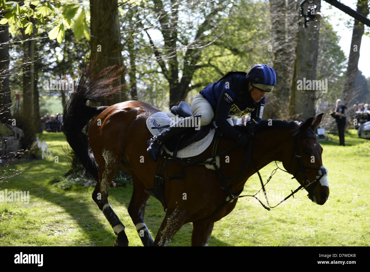 A brilliant recovery for Zara Phillips and High Kingdom at the Angled Log on the exit of Huntsman's Close Badminton 2013 Stock Photo