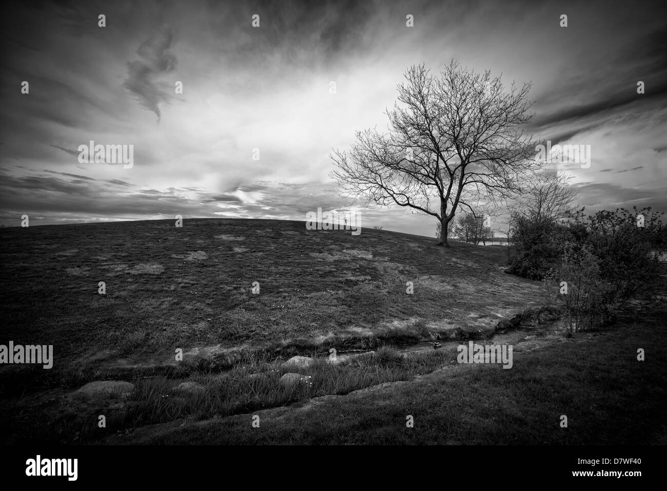Dramatic landscape image of an ominous sky behind a small hill with a single, leafless tree, shot in black and white. Stock Photo