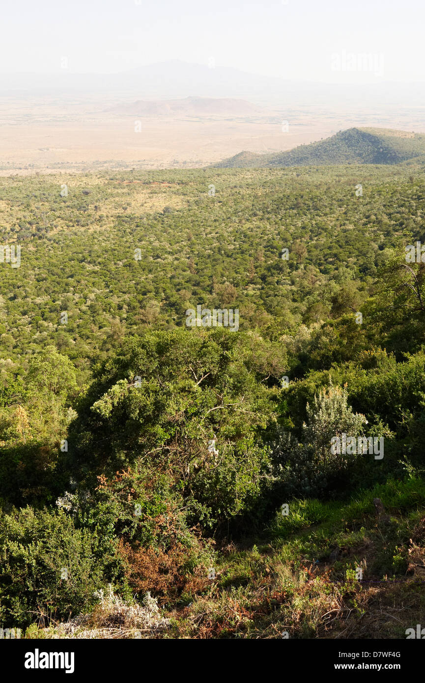 Great Rift Valley, Mount Longonot National Park, Nakuru, Kenya Stock Photo