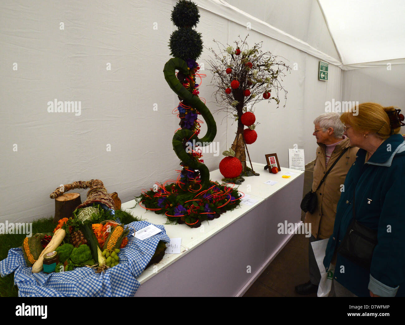 Two Woman Looking at one of the exhibits of Floral Art  at the Harrogate Spring Flower Show Yorkshire Stock Photo