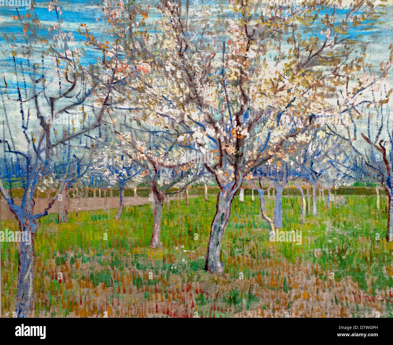 The pink Orchard  1888 Vincent van Gogh 1853 - 1890  Dutch Netherlands Post Impressionism Stock Photo