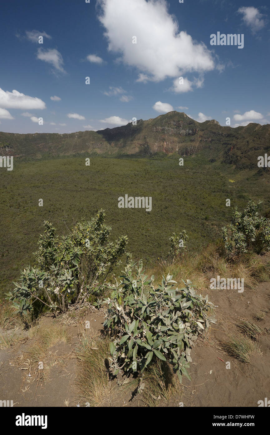 Crater rim, Mount Longonot National Park, Nakuru, Kenya Stock Photo