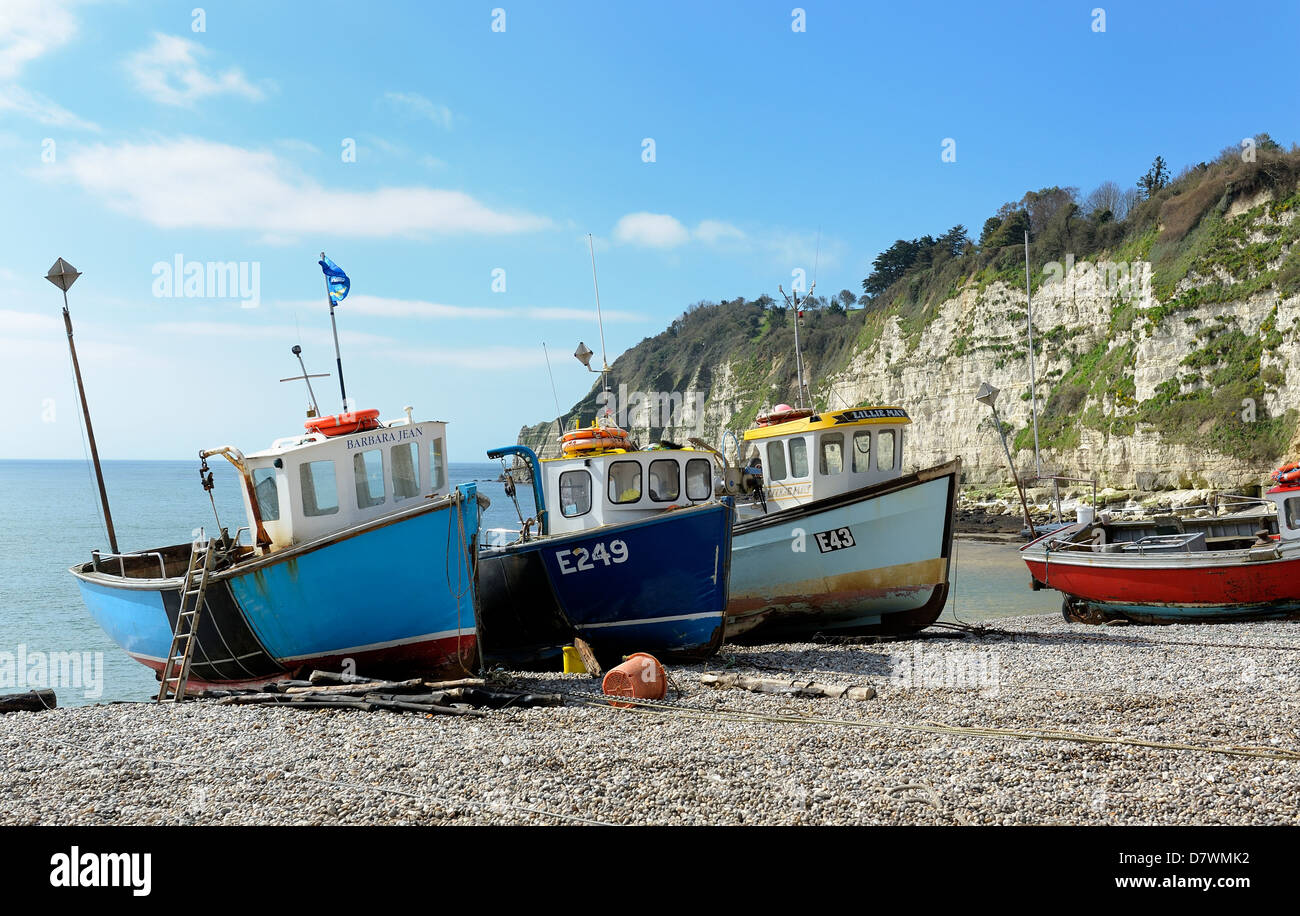Fishing boats on the beach Beer Devon England uk Stock Photo Alamy
