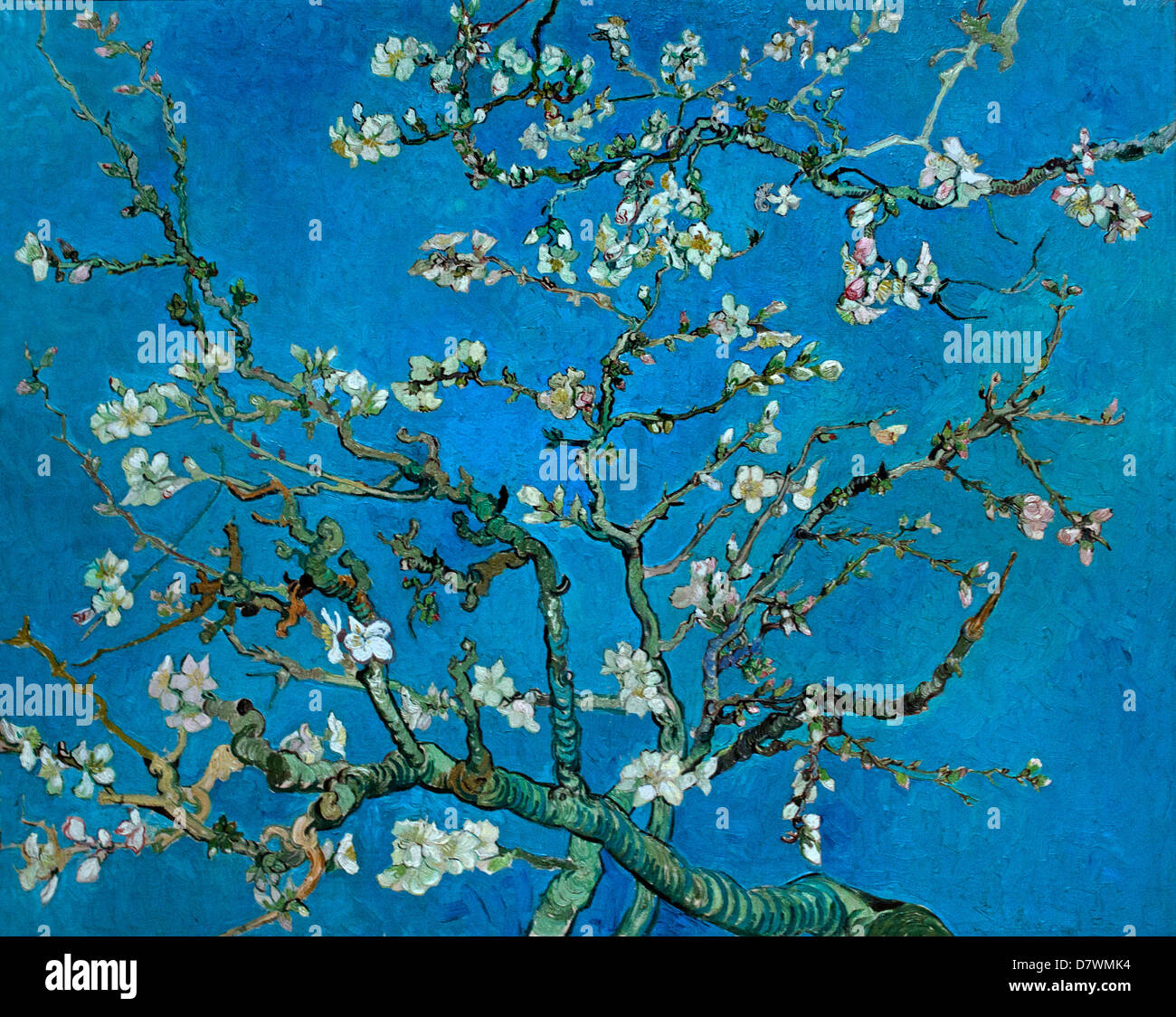 Branches with Almond Blossom. 1890. Japonium Vincent van Gogh 1853 - 1890  Dutch Netherlands Post Impressionism Stock Photo