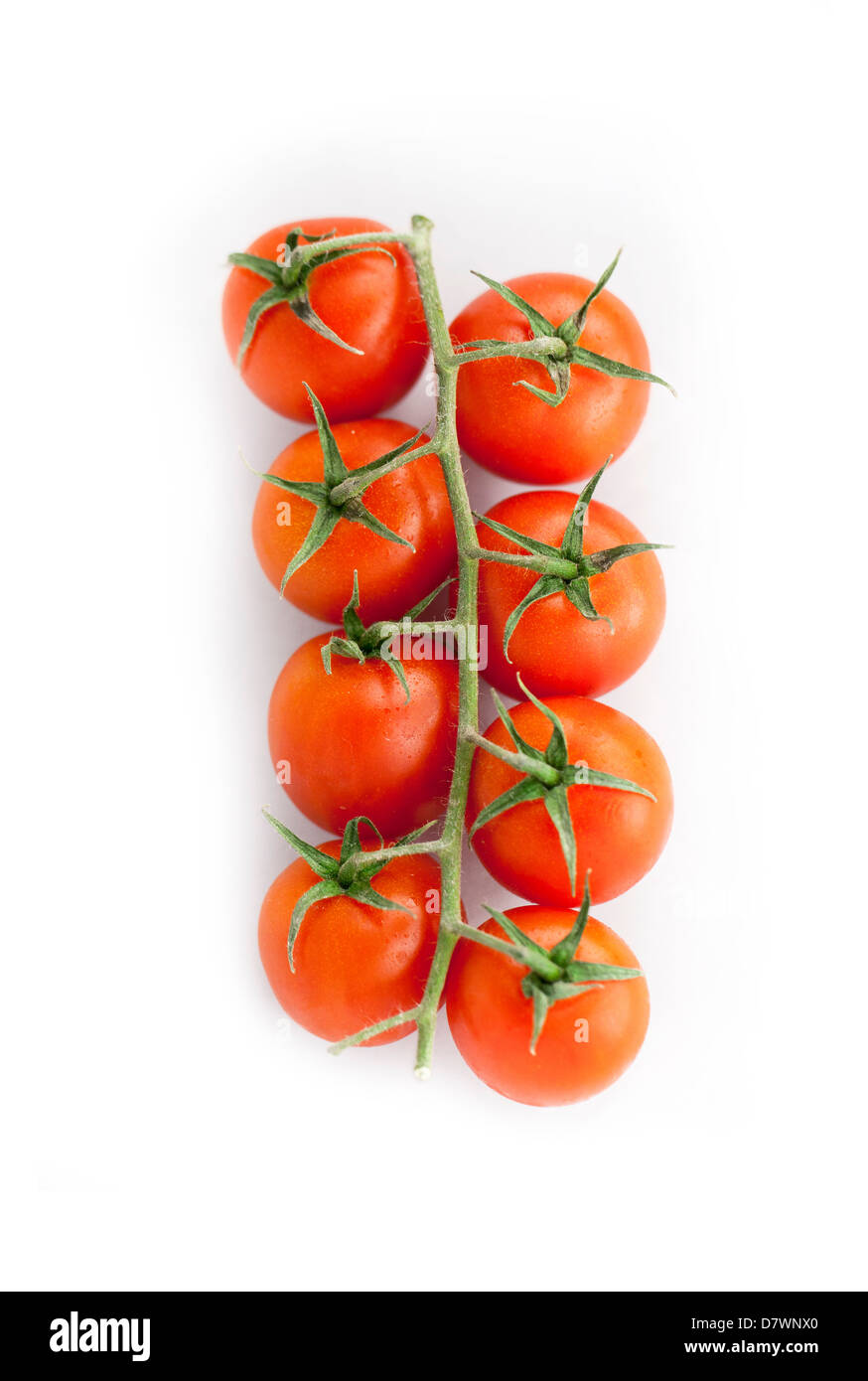 Cherry tomatoes on a branch isolated on white background Stock Photo ...