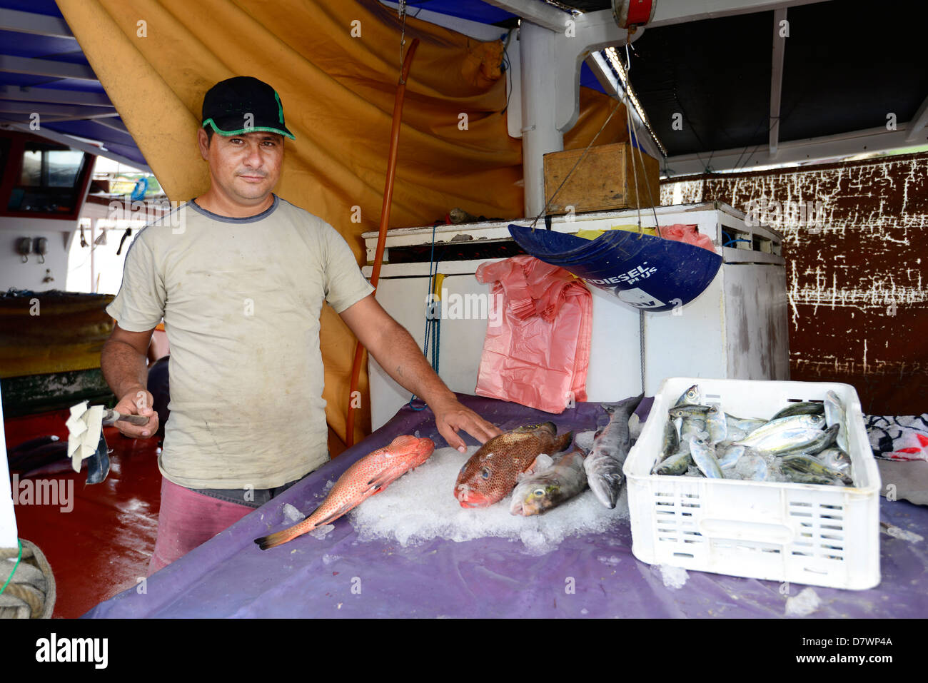 Floating Fish Market Willemstad Curacao Curaҫao Dutch Caribbean Island