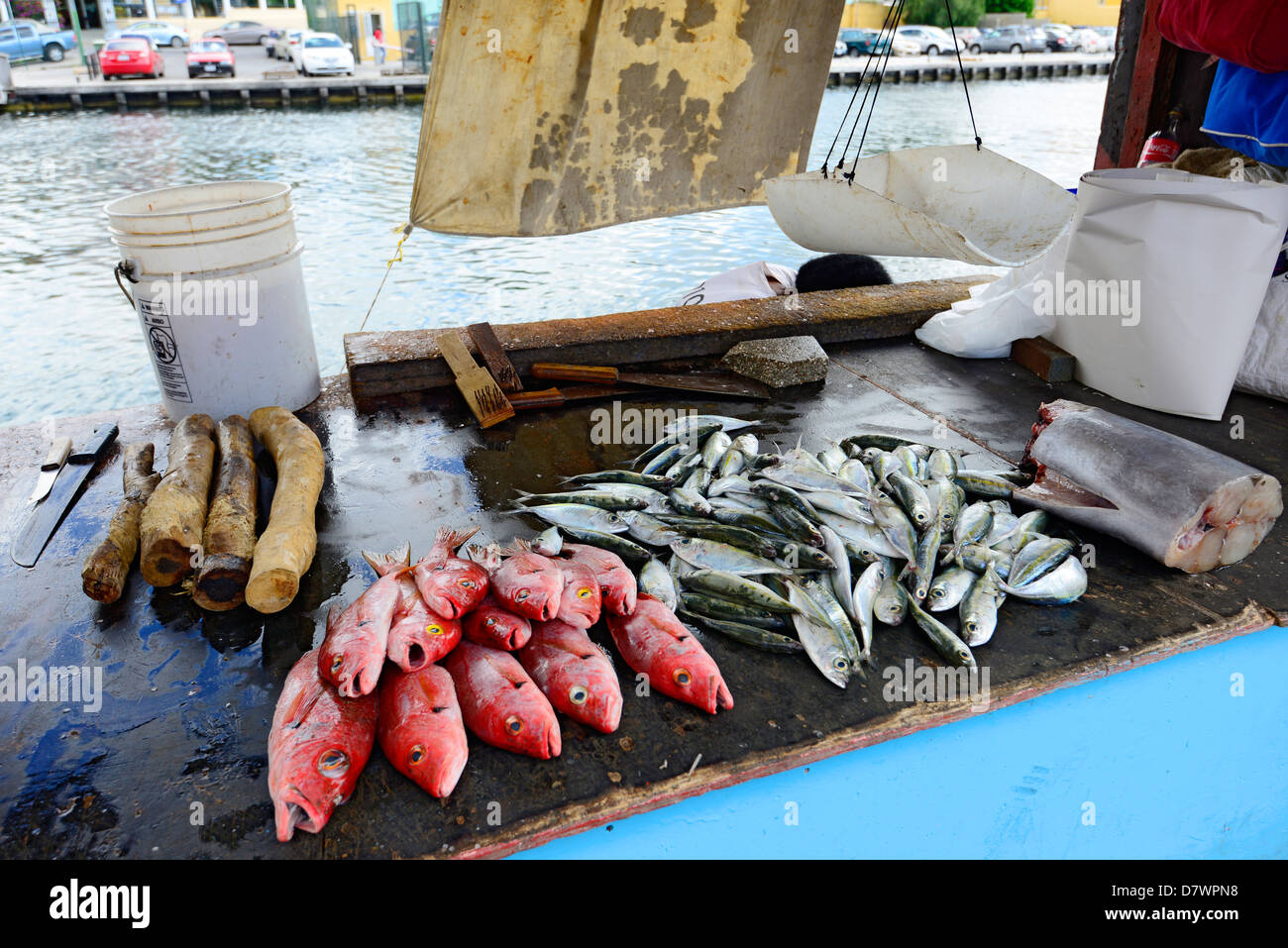 Floating Fish Market Willemstad Curacao Curaҫao Dutch Caribbean Island