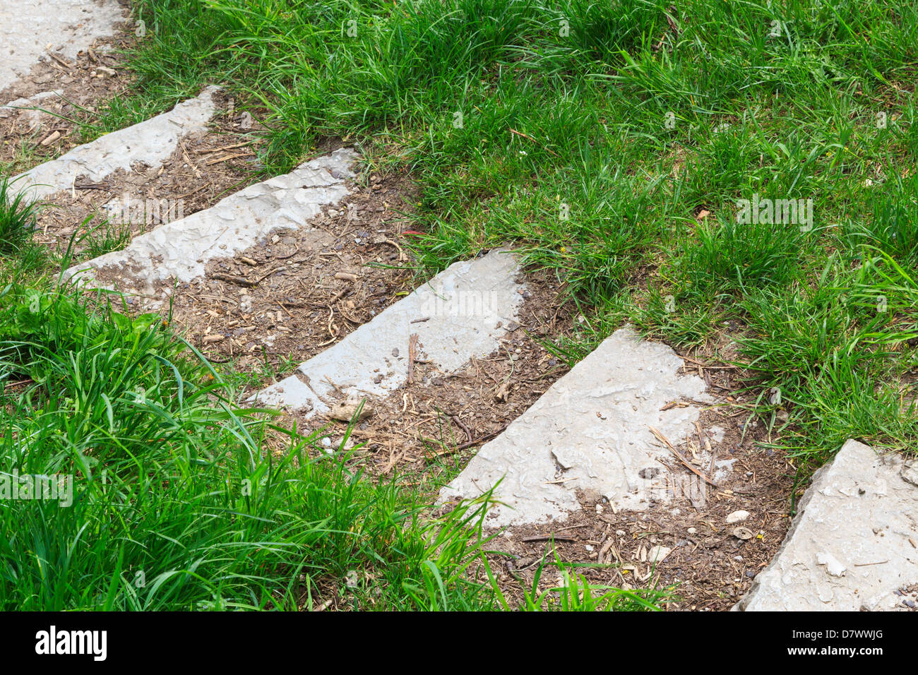 Stairs in the grass leading downstairs Stock Photo Alamy
