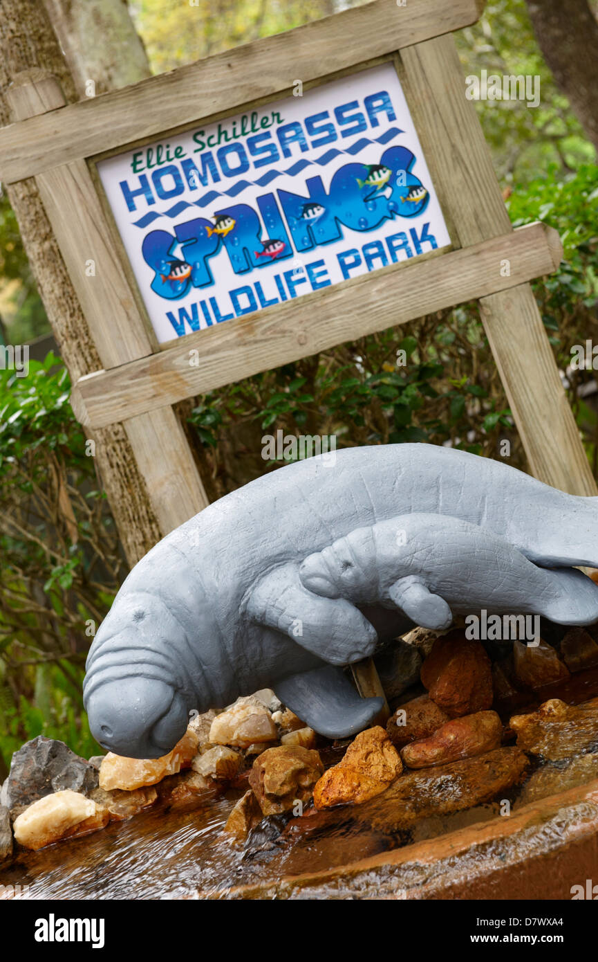 West Indian manatee (Trichechus manatus) model, Homosassa Springs Wildlife Park, Florida, USA Stock Photo