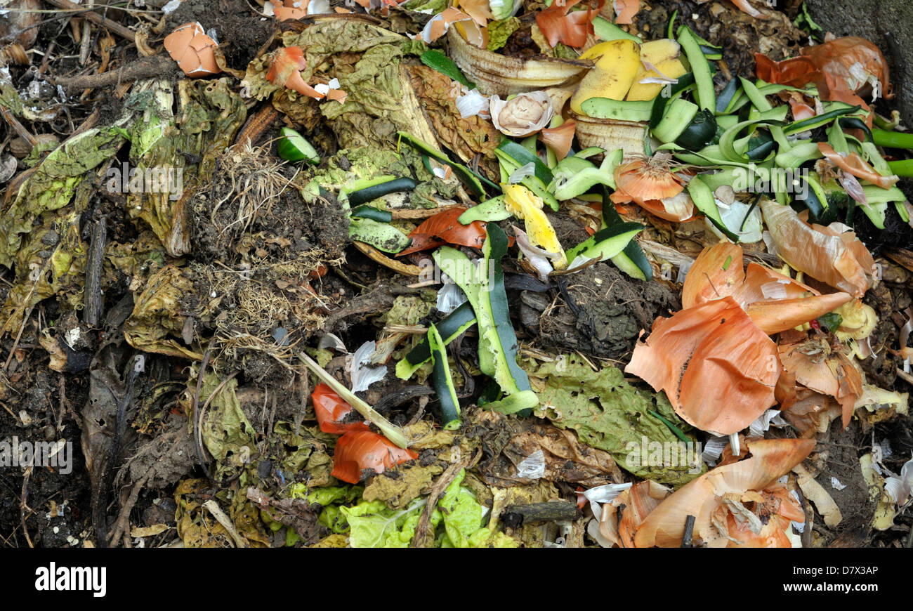 Kitchen and garden waste on a compost heap Stock Photo - Alamy