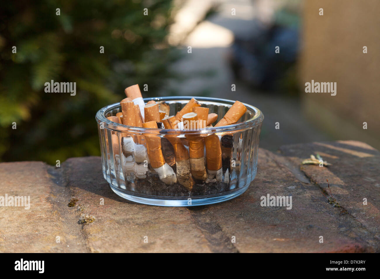 Cigarette Butts in Ashtray bowl Stock Photo