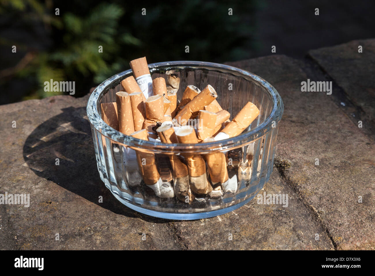Cigarette Butts in Ashtray bowl Stock Photo