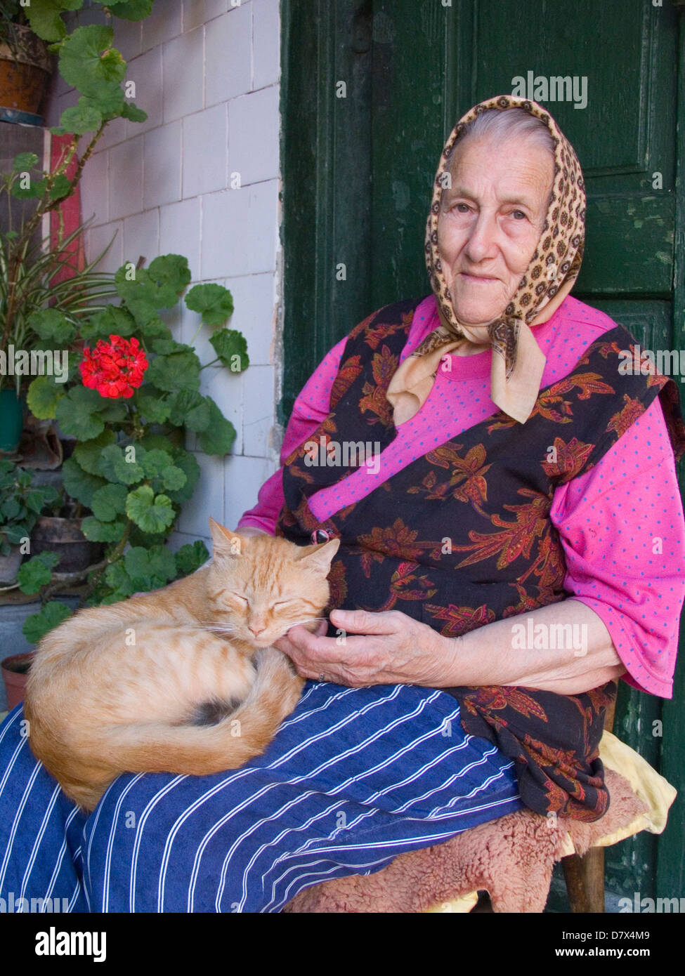 europe, romania, transylvania, sighisoara, old woman and cat Stock Photo