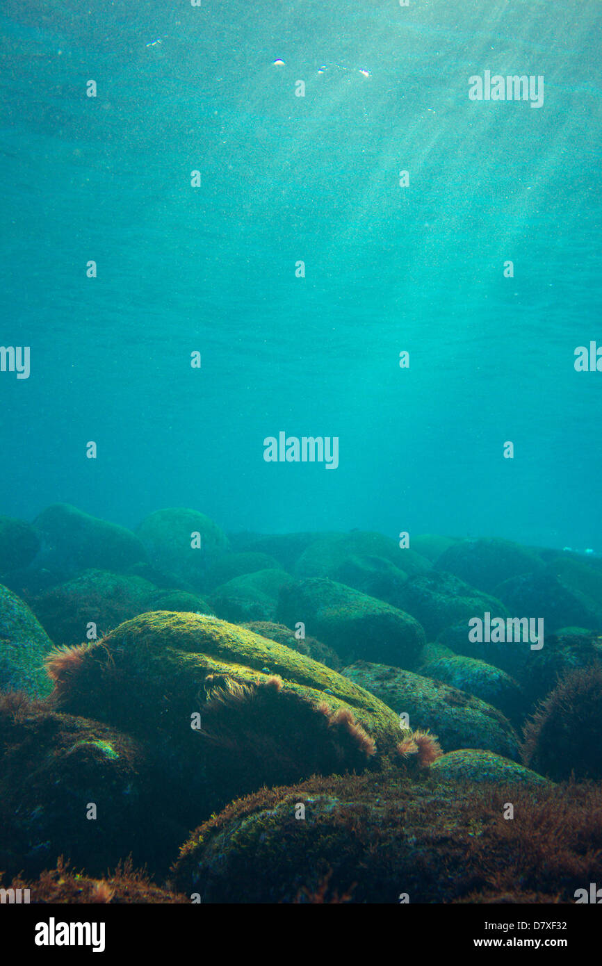 Underwater landscape hires stock photography and images Alamy