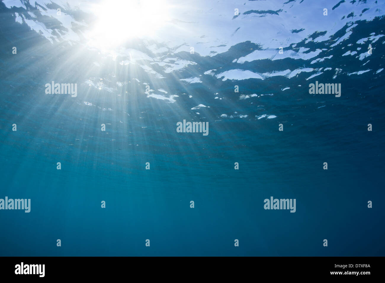 Light leaking underwater Stock Photo Alamy
