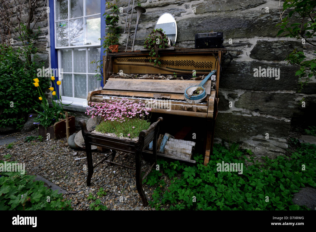 Broken piano used in a garden as a display sculpture in Machynlleth,Wales Stock Photo