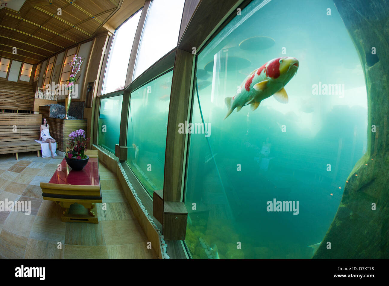 Sinsheim, Germany, 15 May 2013. A woman sits in a Koi sauna at the
