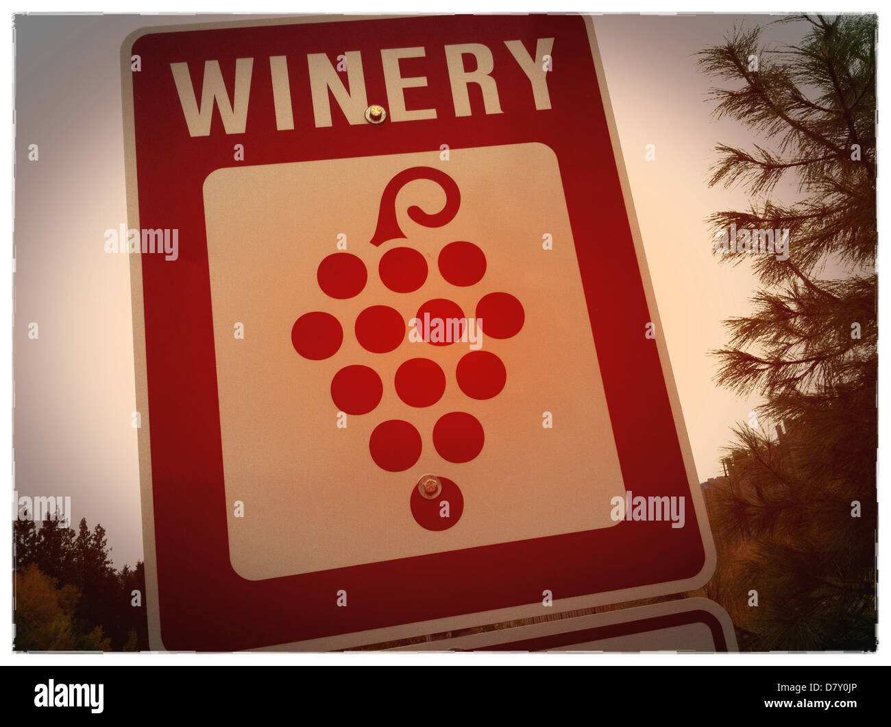 Close up of 'winery' road sign - Smartphone Captured Stock Image