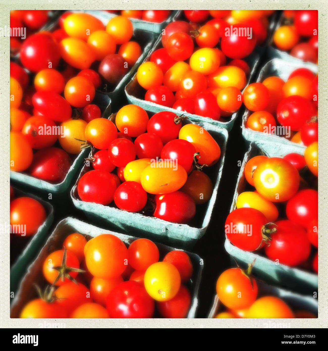 Close up of punnets of cherry tomatoes Stock Photo