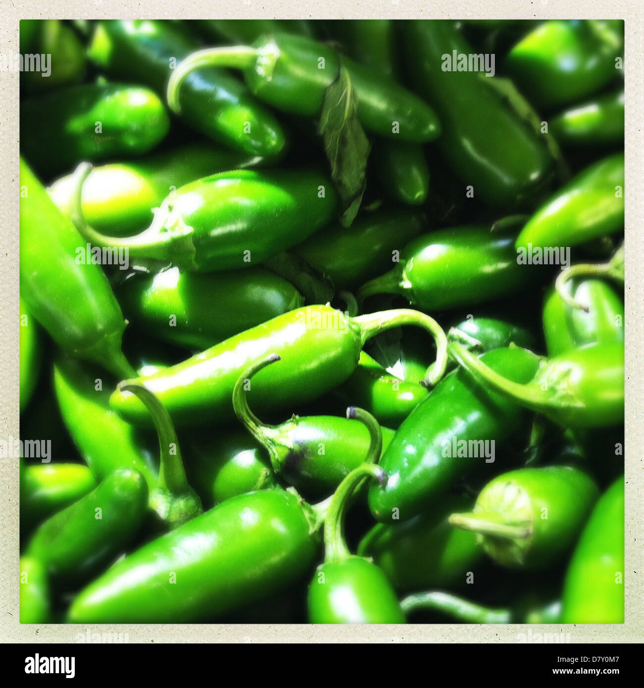 Close up of pile of green chili peppers Stock Photo - Alamy