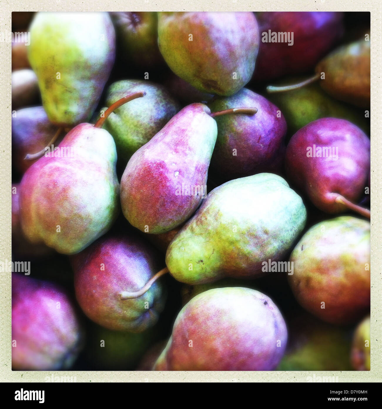 Close up of pile of pears - Smartphone Captured Stock Image