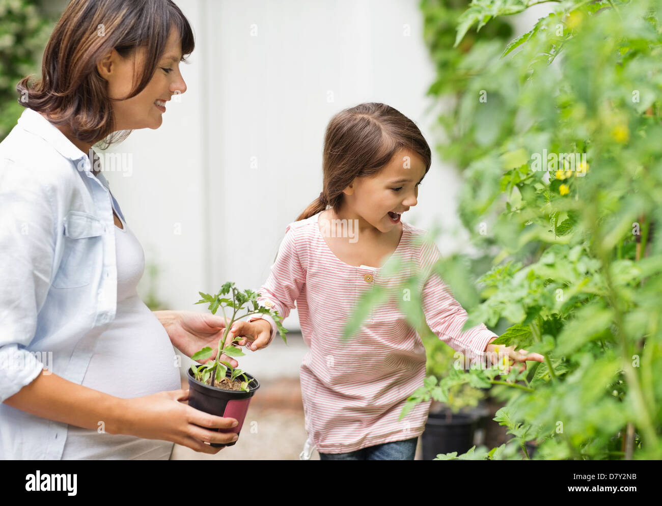 Pregnant mother and daughter gardening together Stock Photo