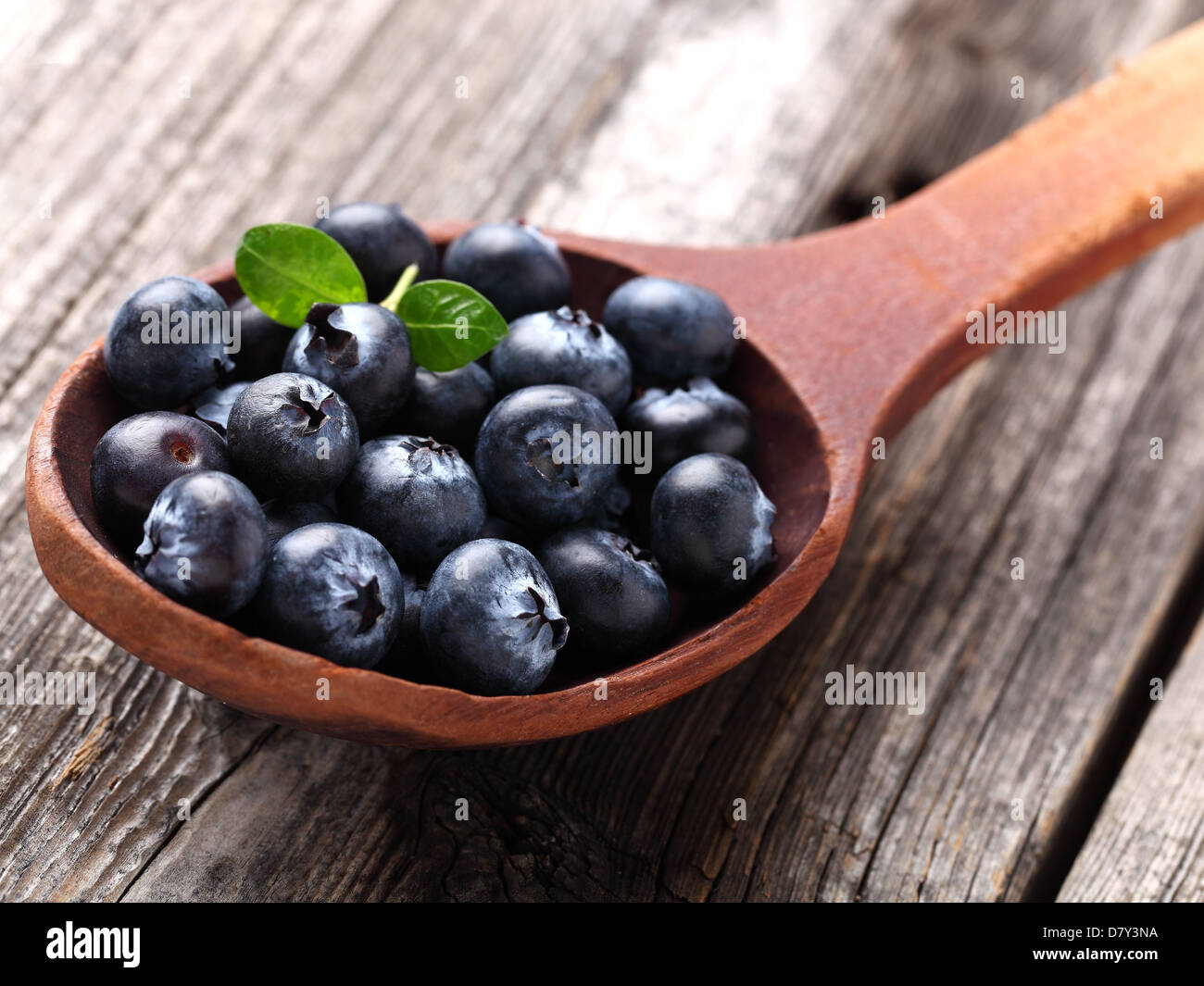 Blueberry in a wooden spoon Stock Photo