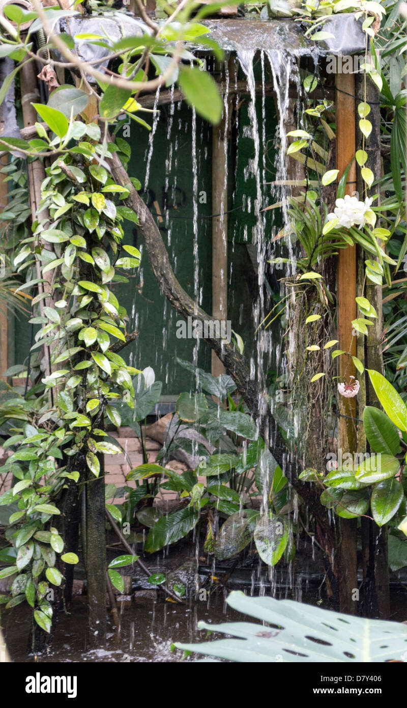Waterfall plants hi-res stock photography and images - Alamy