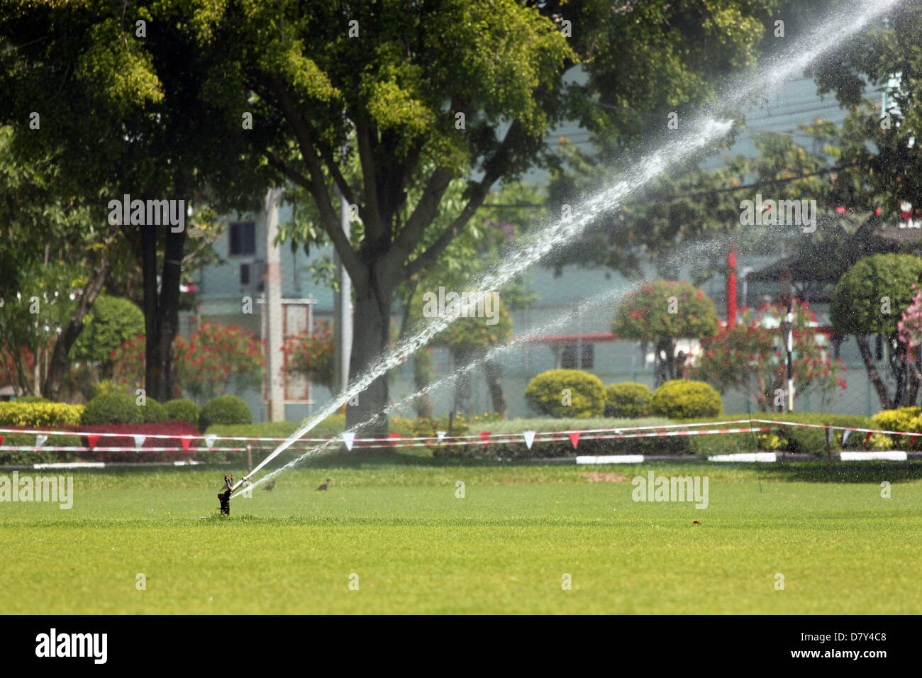 Sprinkler was in the lawn water injection. Stock Photo