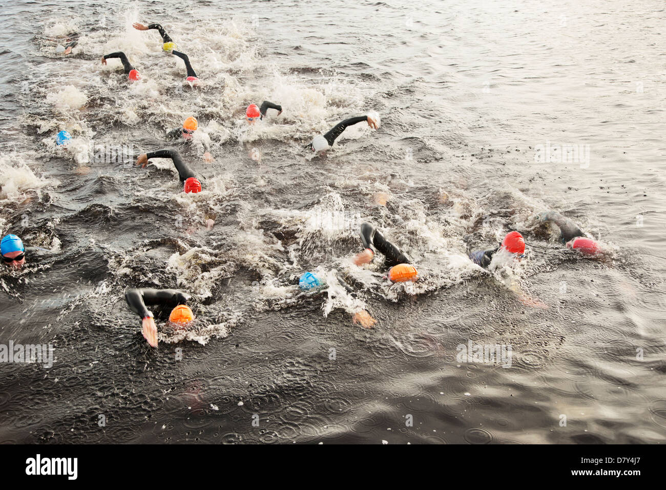 Triathletes swimming in water Stock Photo