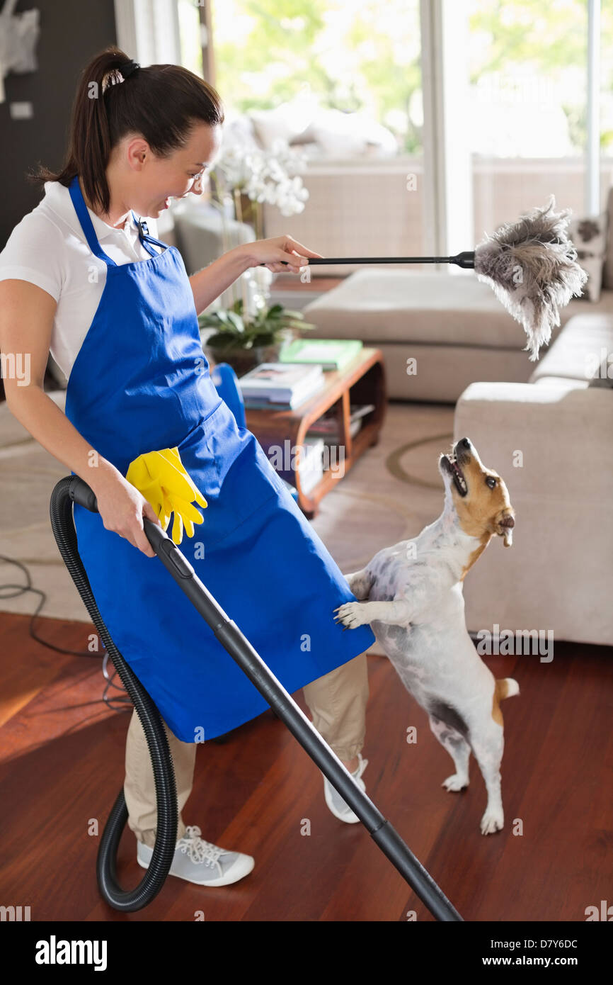 Maid playing with dog in living room Stock Photo