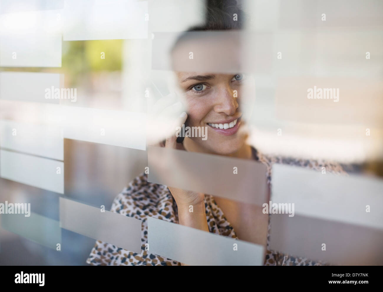 Businesswoman talking on cell phone Stock Photo