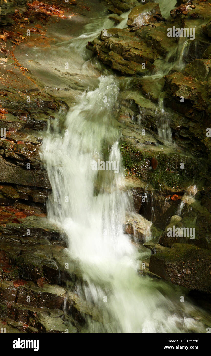 waterfall on brook in forest Stock Photo