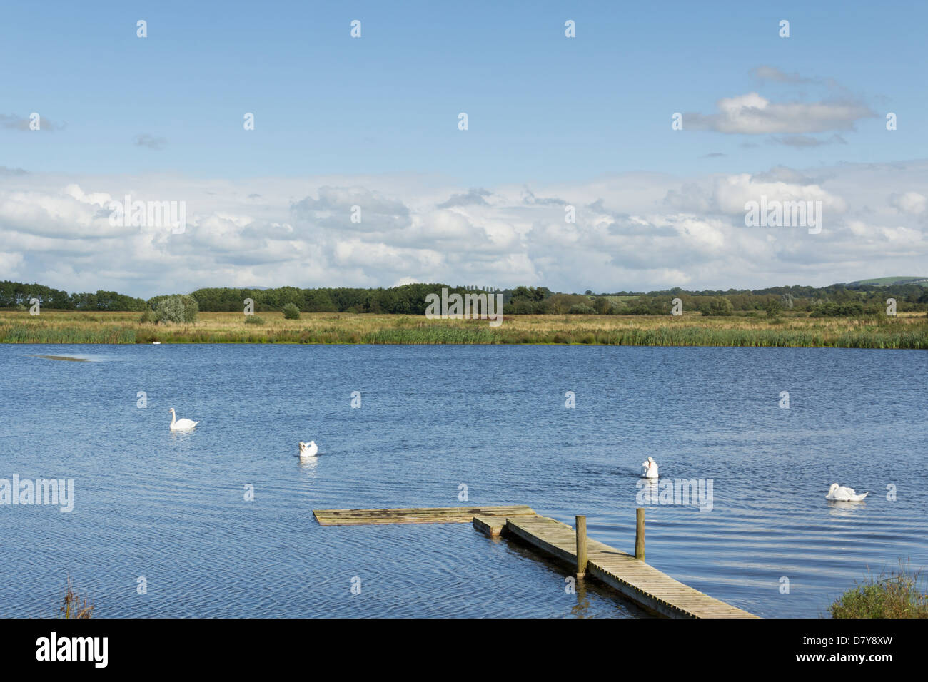Number One Pit, part of Brockholes nature reserve near Preston created by the Lancashire Wildlife Trust from former gravel pits. Stock Photo