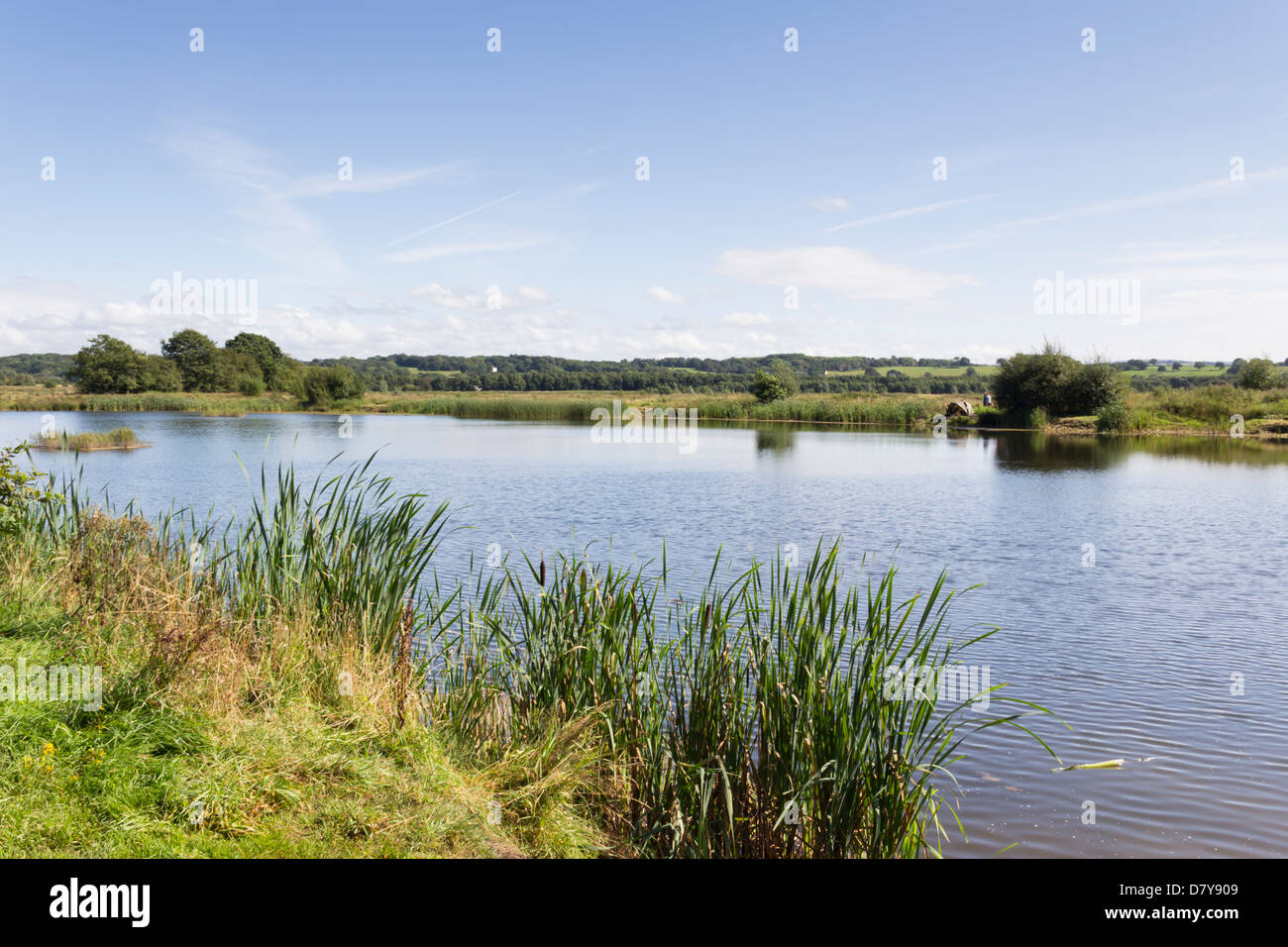 Part of Brockholes nature reserve near Preston purchased and created by the Lancashire Wildlife Trust from former gravel pits. Stock Photo