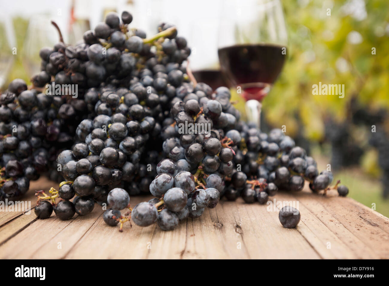 Grapes and glasses of wine on table outdoors Stock Photo