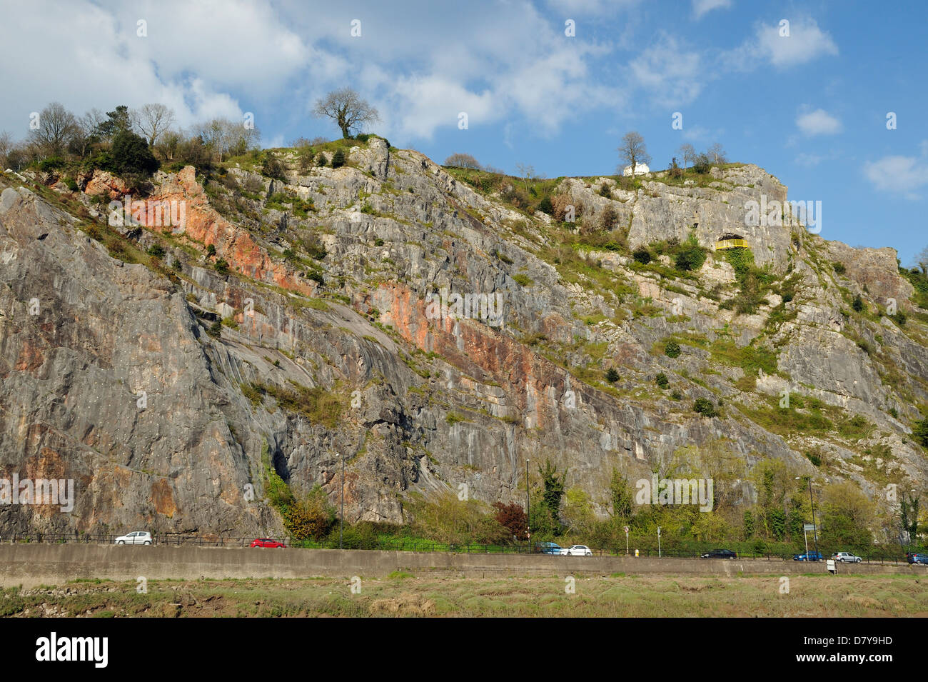 Limestone Cliffs of Avon Bristol Stock Photo Alamy