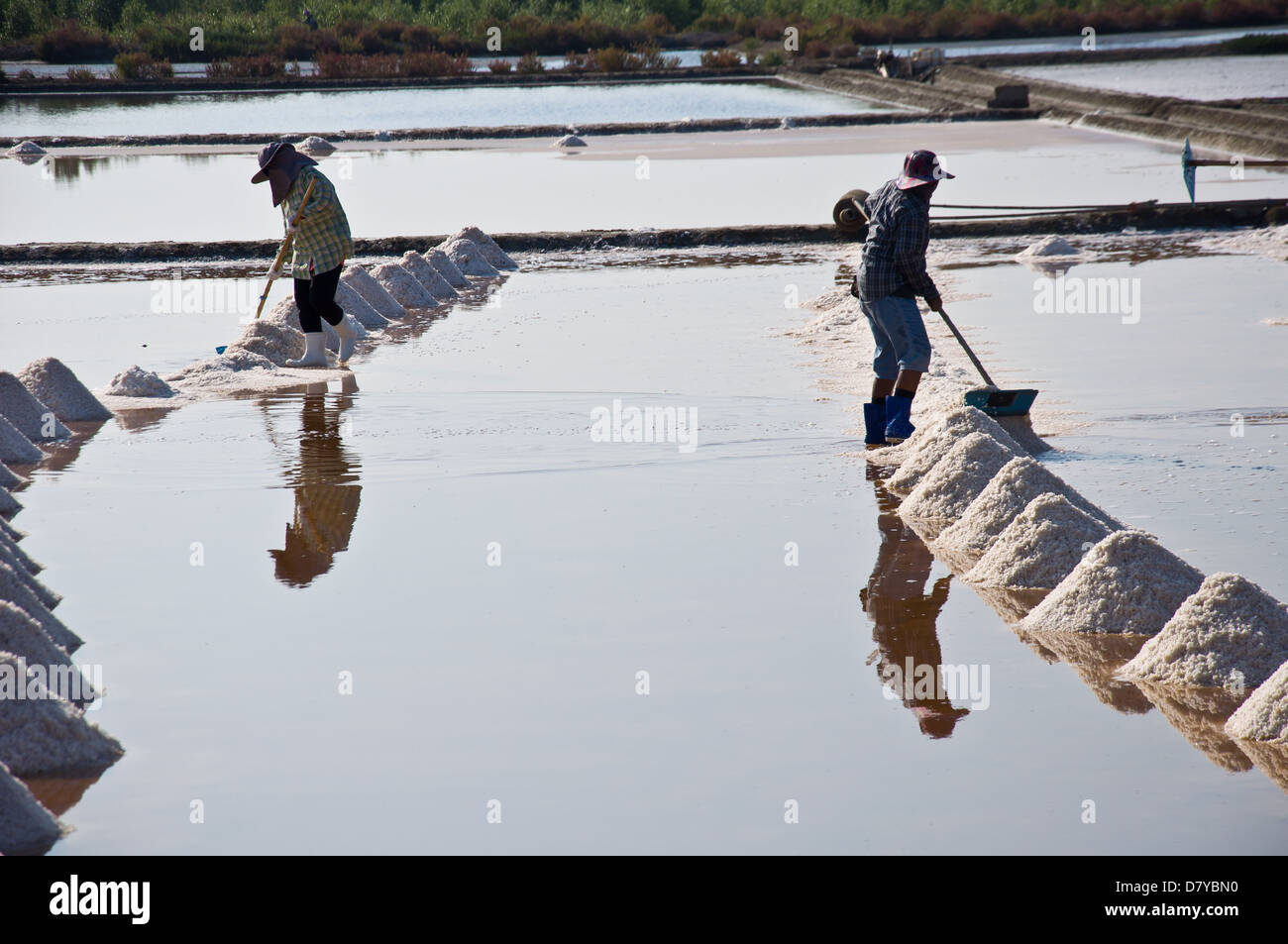 salt farmer in tropical climate prepare for salt Stock Photo