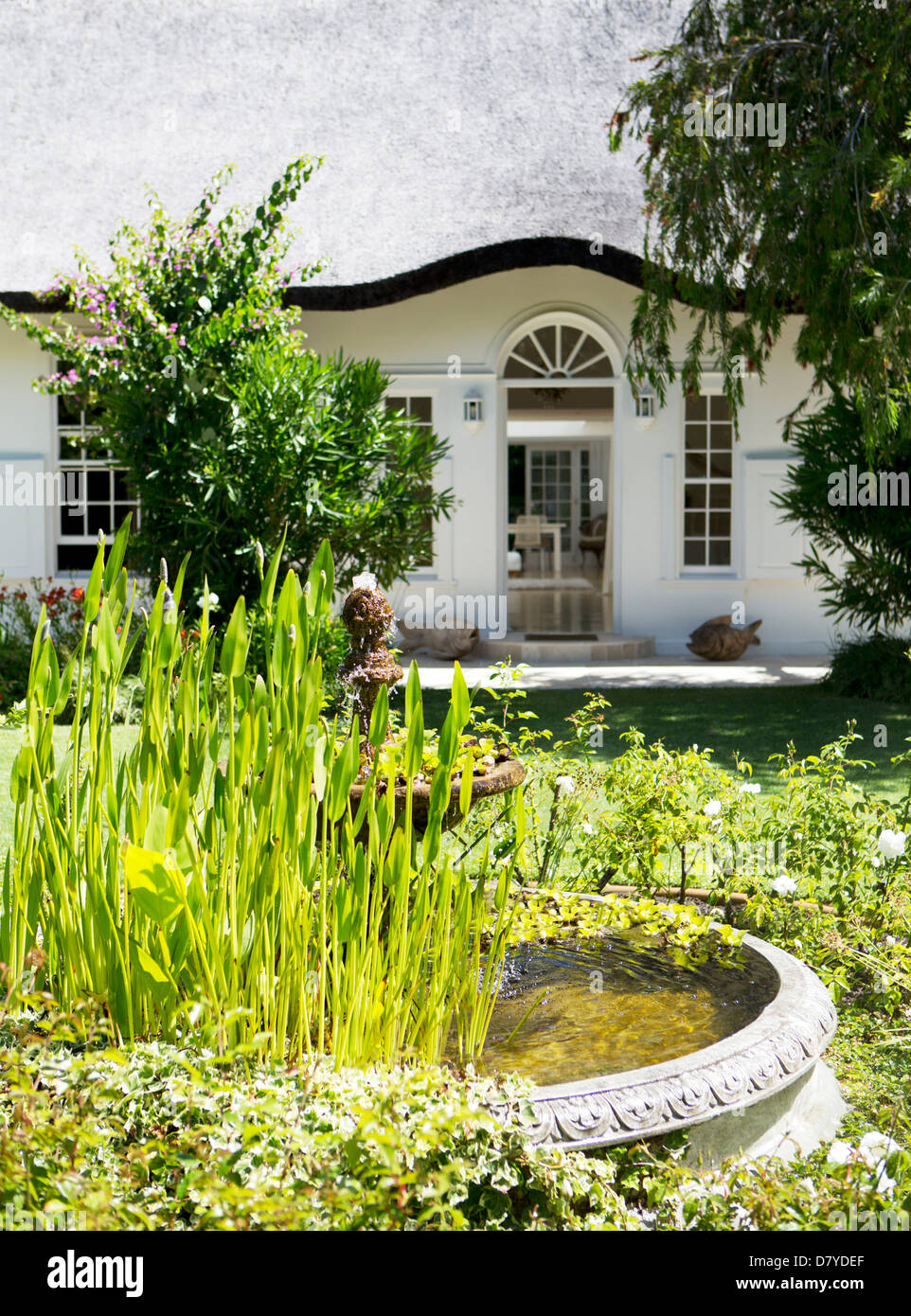 Birdbath in garden outside house Stock Photo