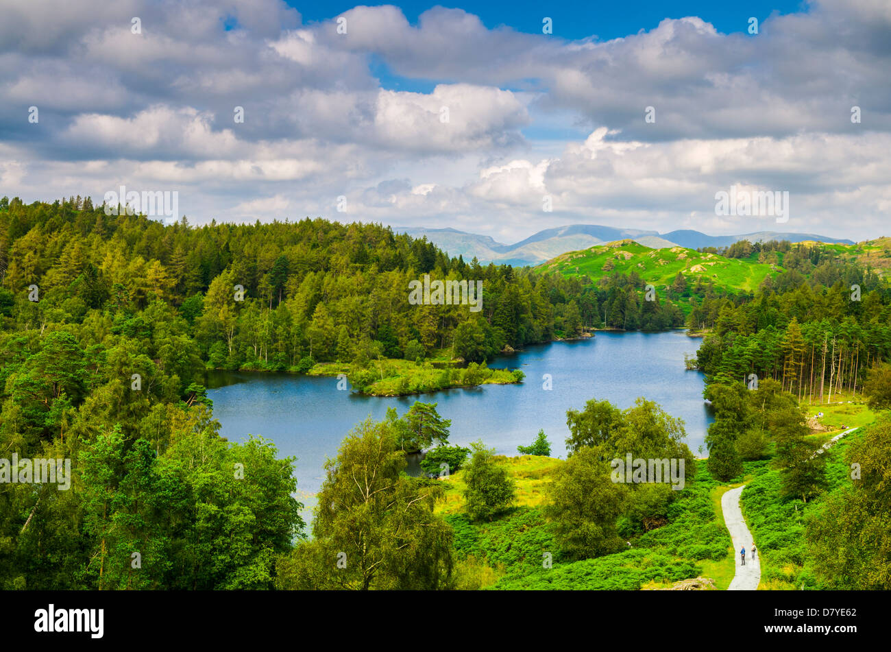 Tarn Hows surrounded by forest in the Lake District near Coniston, Cumbria, England. Stock Photo