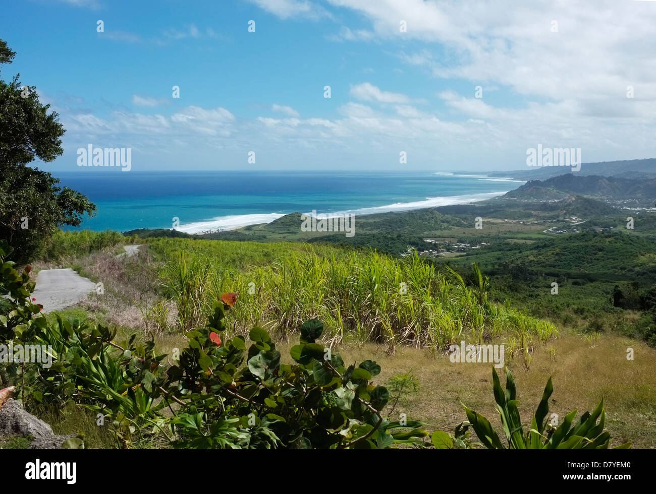 The West Coast of Barbados Stock Photo Alamy